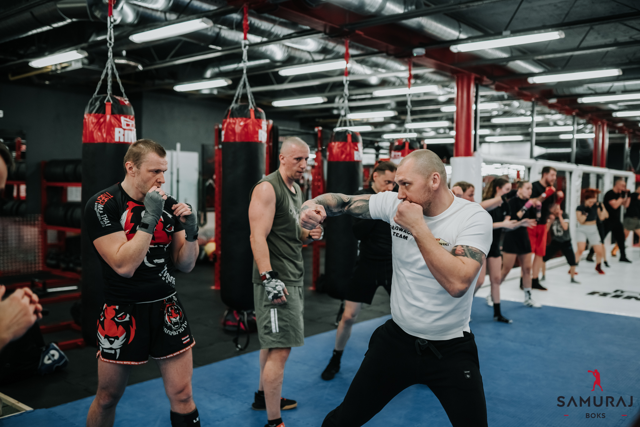 kickboxing wrocław multisport